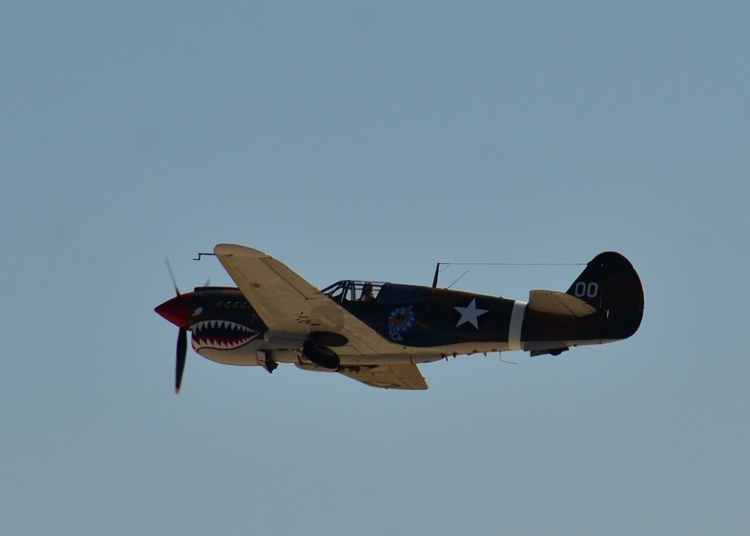 P-40 Warhawk on the Wing P-40 Warhawk on the Wing