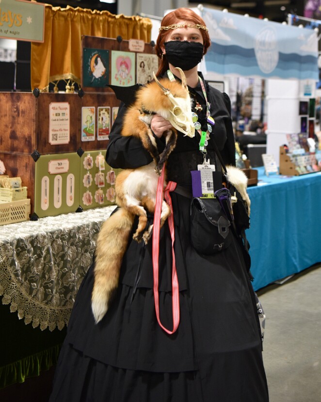 Black Finery and a Wondrous Creature 2