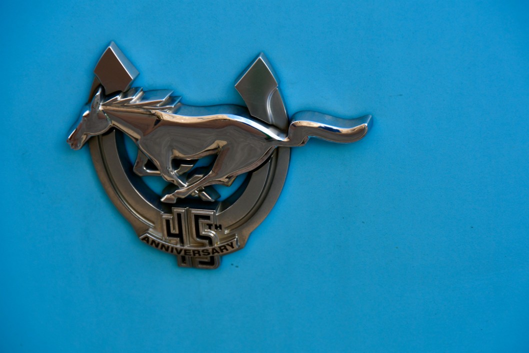 45th Mustang Anniversary