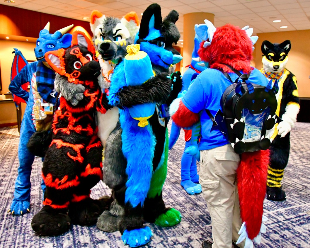 Colorful Furs Gathered Together