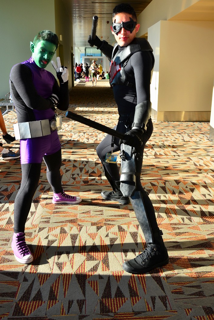 Beast Boy and Robin in Light and Shadow Beast Boy and Robin in Light and Shadow