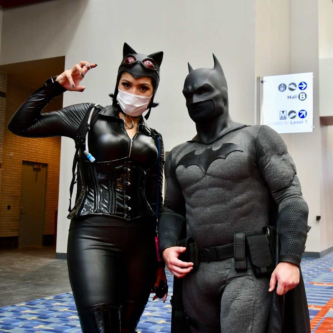Excellent Cat and Bat 2
