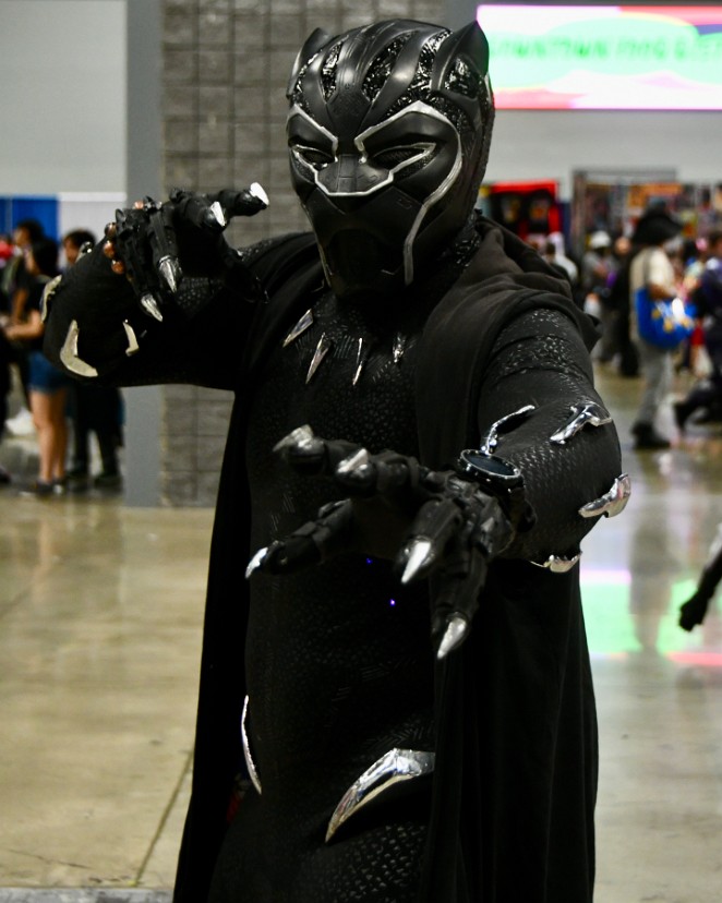 Black Panther Ready to Fight 2