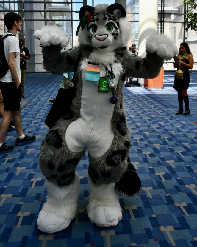 A Certified Snep