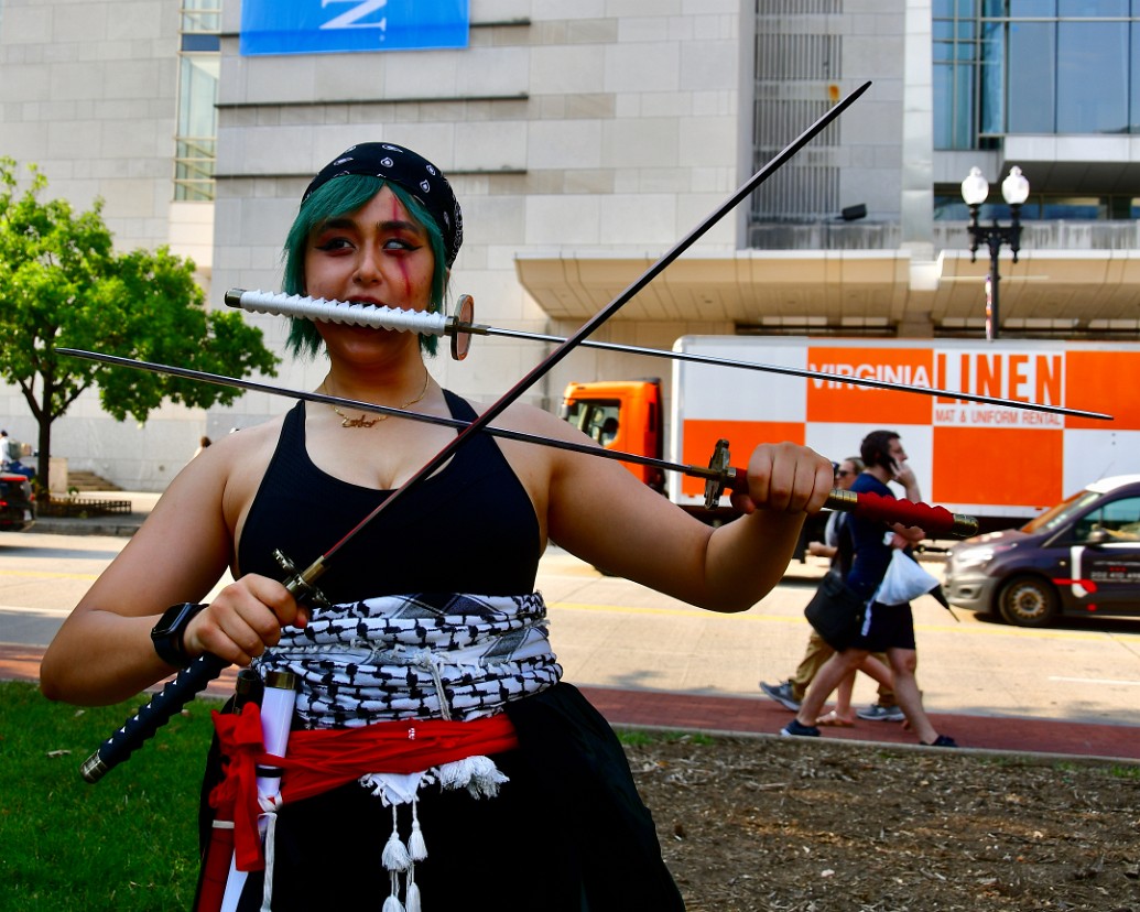 Rorona Zoro Rocking All the Swords 2