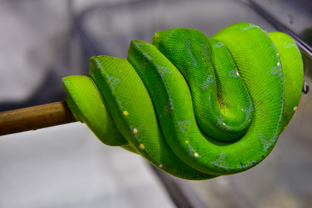 Touches of Blue and Yellow